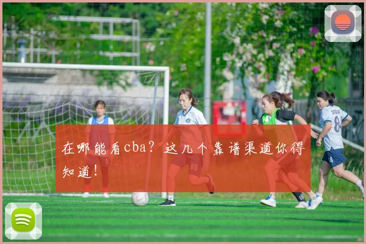 在哪能看cba？这几个靠谱渠道你得知道！