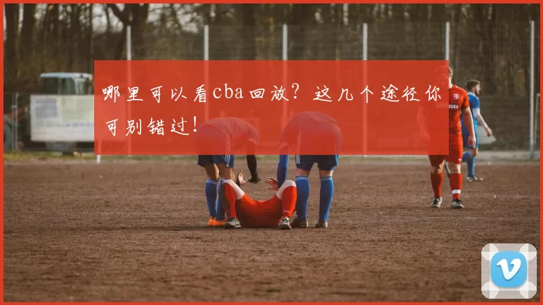 哪里可以看cba回放？这几个途径你可别错过！