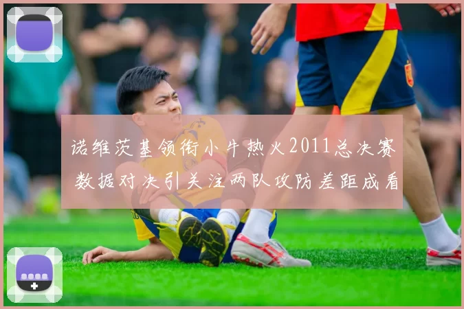 诺维茨基领衔小牛热火2011总决赛 数据对决引关注两队攻防差距成看点