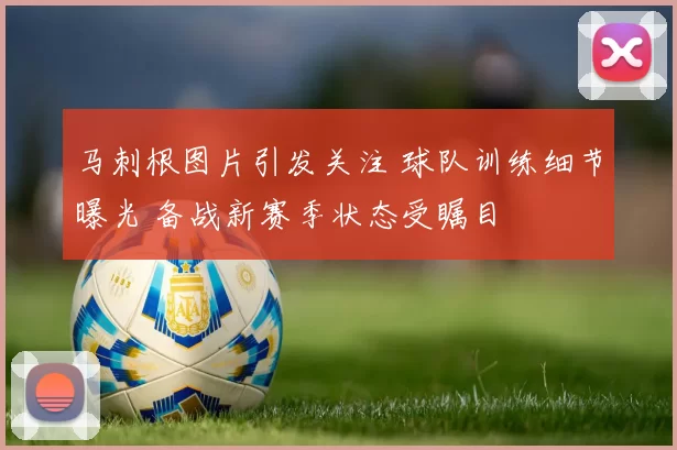 马刺根图片引发关注 球队训练细节曝光 备战新赛季状态受瞩目