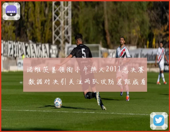 诺维茨基领衔小牛热火2011总决赛 数据对决引关注两队攻防差距成看点