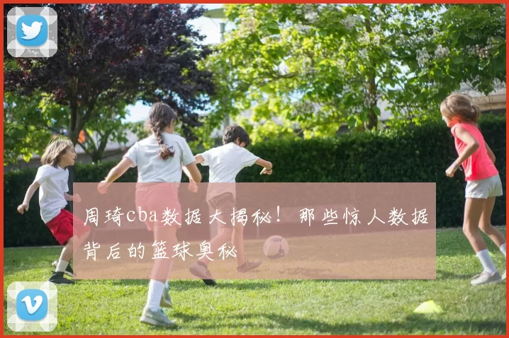周琦cba数据大揭秘！那些惊人数据背后的篮球奥秘