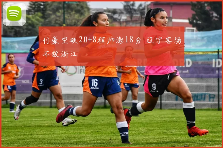 付豪空砍20+8程帅澎18分 辽宁客场不敌浙江